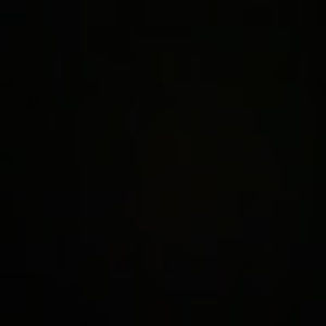 Meet your Posher, Ronia